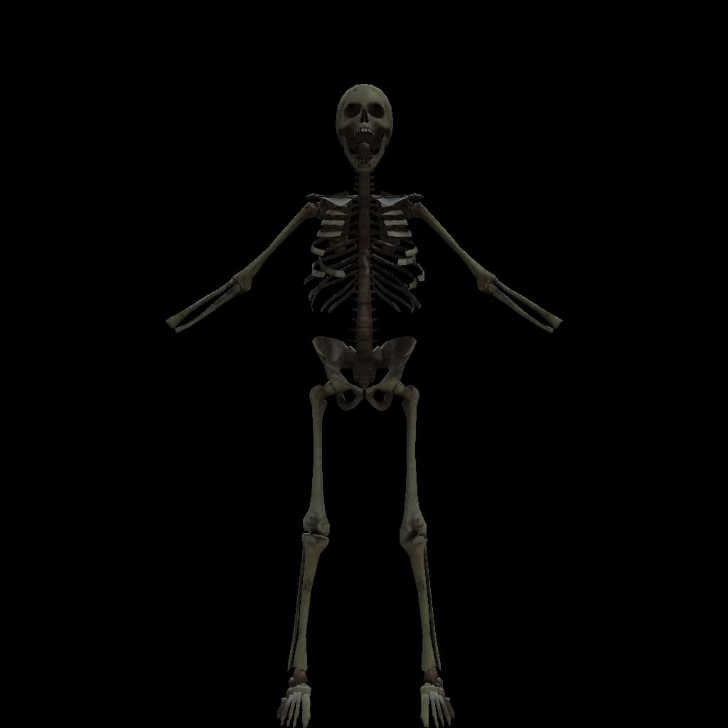 Onyx player model