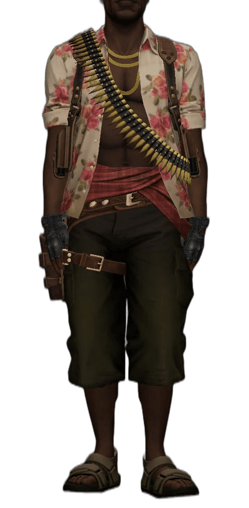 Vice player model