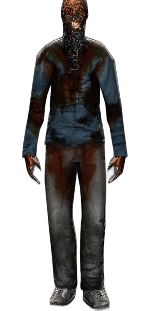 Hobo+ player model