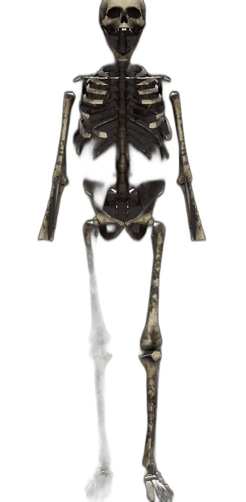 Requiem player model