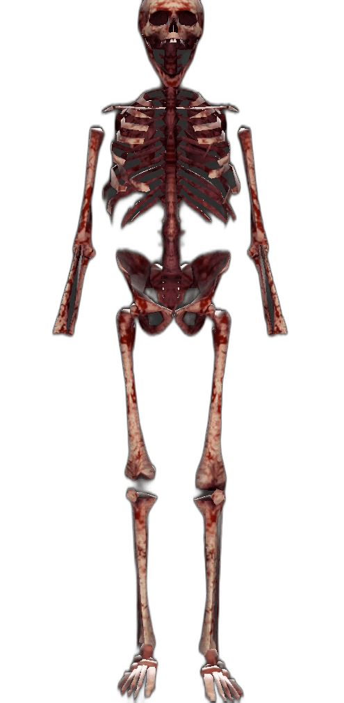 Nightmare player model