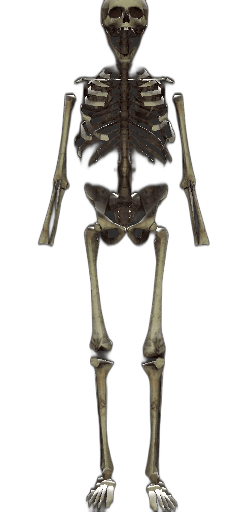 Dancer player model