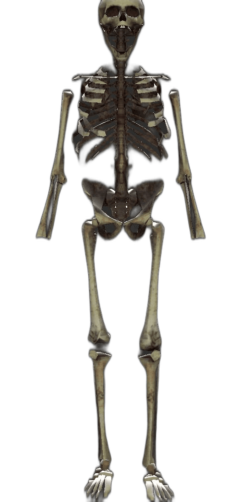 Triad player model