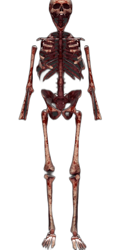 Evil Skeleton player model
